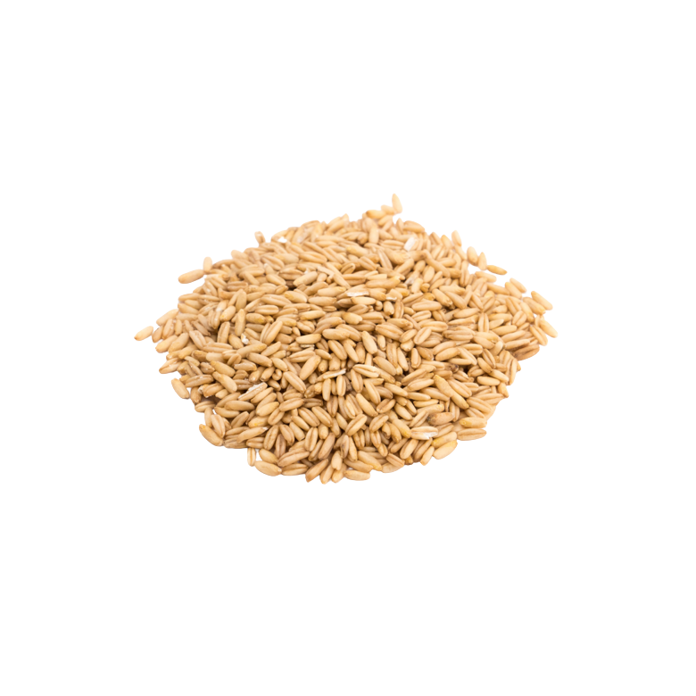Whole Oats, BULK organic